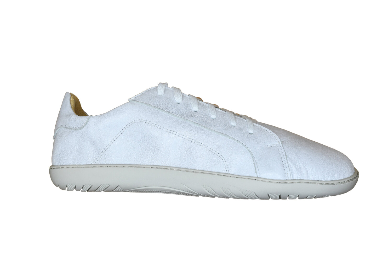 BOLOGNA EAGLE WHITE